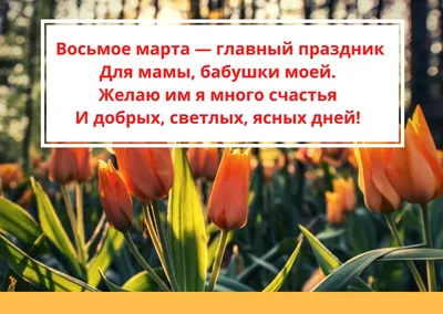 История Instagram в желто-розовом дизайне с тюльпанами на тему праздника 8  марта - шаблон для скачивания | Flyvi