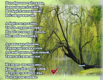 Безответная любовь Даезаэля. Александра Руда - «История любви и жизненного  выбора. Когда сердце разбивают не изменой и предательством, а правдой и  сложным выбором» | отзывы