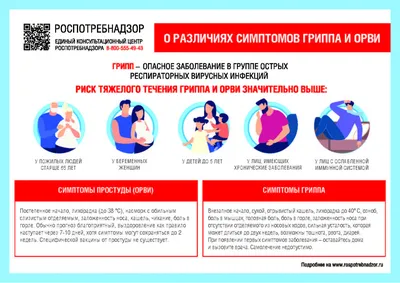 Профилактика гриппа и ОРВИ - Здравоохранение - Социальная сфера - Городской  округ Заречный