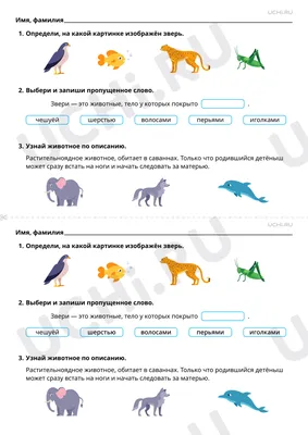 Классный час на тему “Мои достижения. Я-личность”. – Подпорожский  политехнический техникум