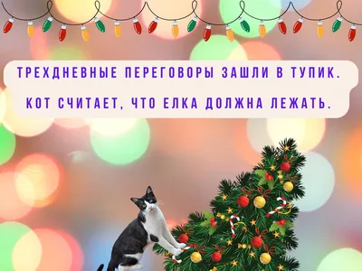 45 новогодних открыток для 2022, которые создадут праздник – Canva