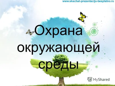 Презентация на тему: \"Охрана окружающей среды Скачать бесплатно и без  регистрации.