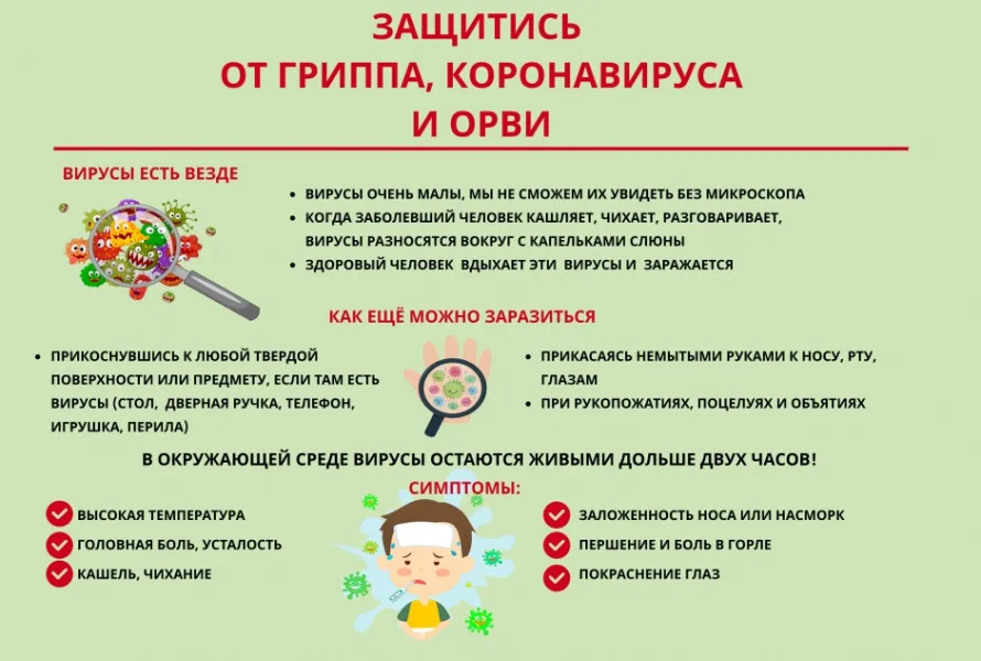 Вакцинация от гриппа и мерах его профилактики - ГАУЗ СО Верхнепышминская центральная городская больница имени П.Д.Бородина Вакцинация от гриппа и мерах его профилактики - ГАУЗ СО Верхнепышминская центральная городская больница имени П.Д.Бородина