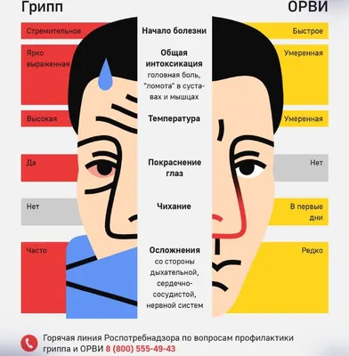 Грипп – Муниципальное автономное дошкольное образовательное учреждение  \"Детский сад № 67 города Благовещенска\"