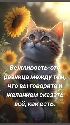 Слова вежливый, вежливо, вежливость и их синонимы – тема научной статьи по  языкознанию и литературоведению читайте бесплатно текст  научно-исследовательской работы в электронной библиотеке КиберЛенинка