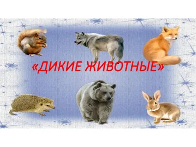 Животные в мире людей. Как видит это Midjourney? | Как у них? Истории со  всего света | Дзен