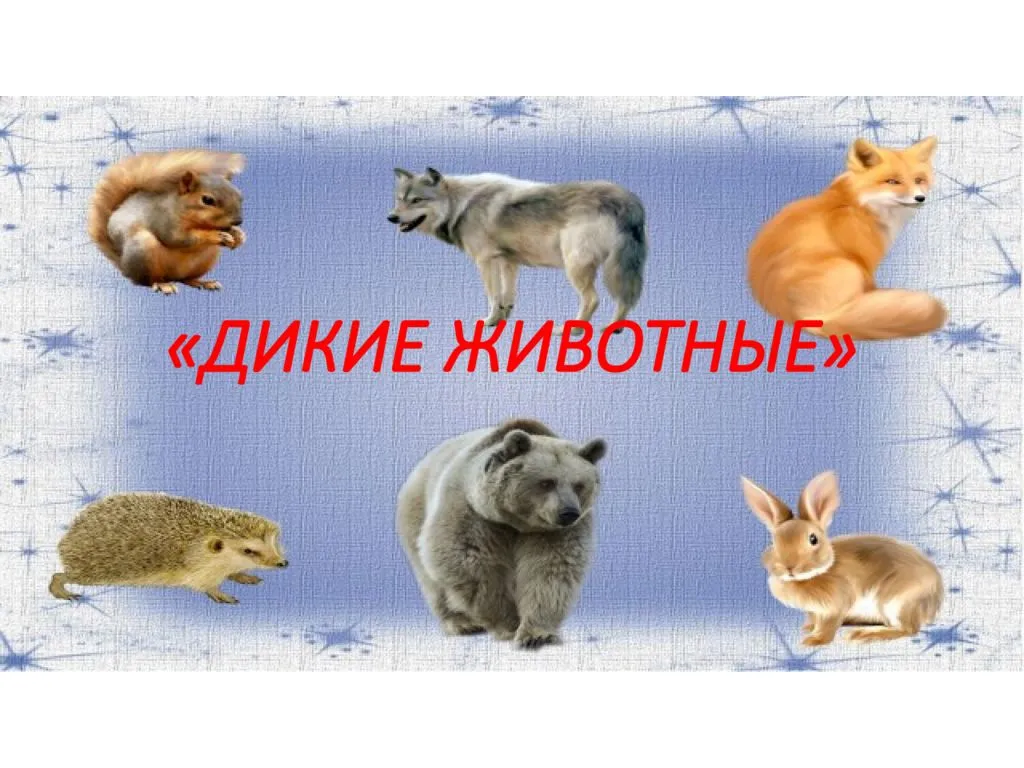 Животные в мире людей. Как видит это Midjourney? | Как у них? Истории со всего света | Дзен Животные в мире людей. Как видит это Midjourney? | Как у них? Истории со всего света | Дзен