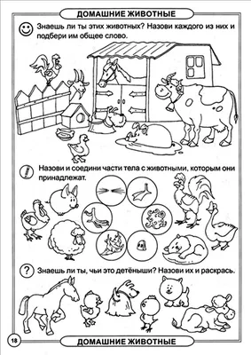 Презентация к уроку английского языка по теме «Животные», 3 класс - ppt  video online download