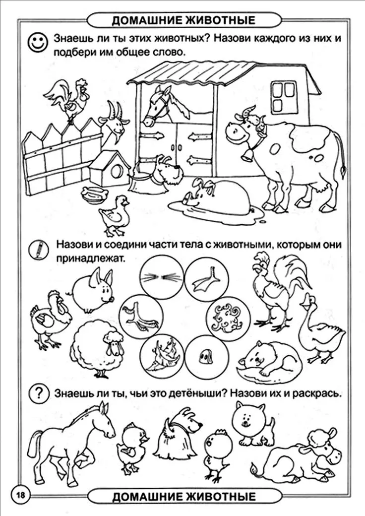 Презентация к уроку английского языка по теме «Животные», 3 класс - ppt video online download Презентация к уроку английского языка по теме «Животные», 3 класс - ppt video online download