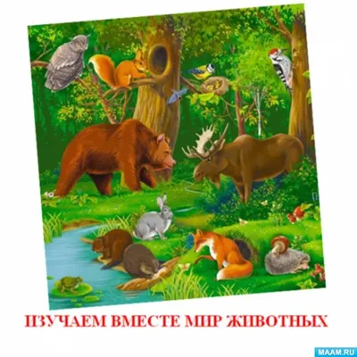Задания для дошкольников по теме \"Домашние животные\". | Домашнее животное,  Лесные животные, Животные