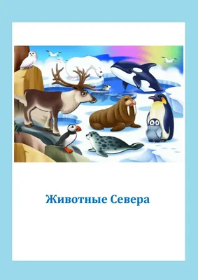 Книга Лесные Истории.Активизация номинативного словаря по теме \"Дикие  животные\" и \"Растения леса\". Развитие зрительного внимания, быстроты  реакции. Дидактическая игра для детей дошкольного возраста. 5-7 лет. ФГОС.  • - купить по цене 187