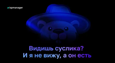 Как работают глаза и что надо учитывать, создавая тёмную тему приложения /  Хабр