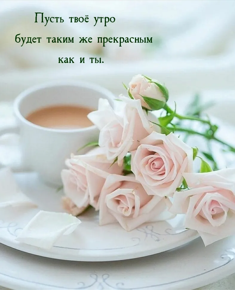 Картинки \"Доброе утро!\" для женщин (254 шт.) Картинки \"Доброе утро!\" для женщин (254 шт.)