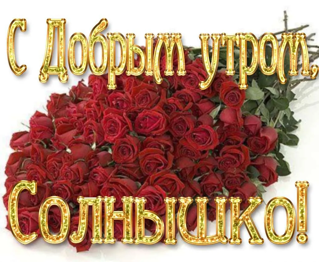 Пожелания с добрым утром в прозе и открытках - Главред Пожелания с добрым утром в прозе и открытках - Главред