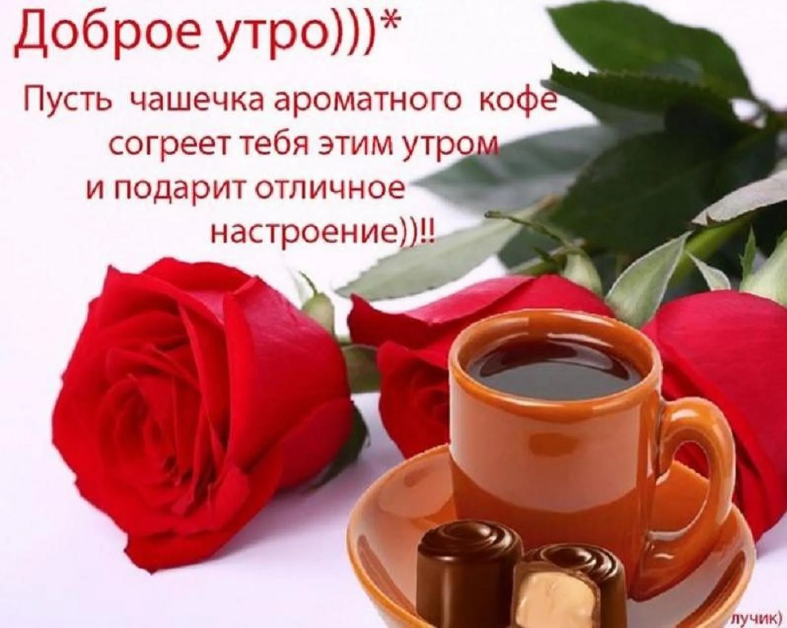 Открытка доброе утро девушке - 73 фото Открытка доброе утро девушке - 73 фото