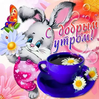 С Добрым Утром Девушке Подкат | TikTok