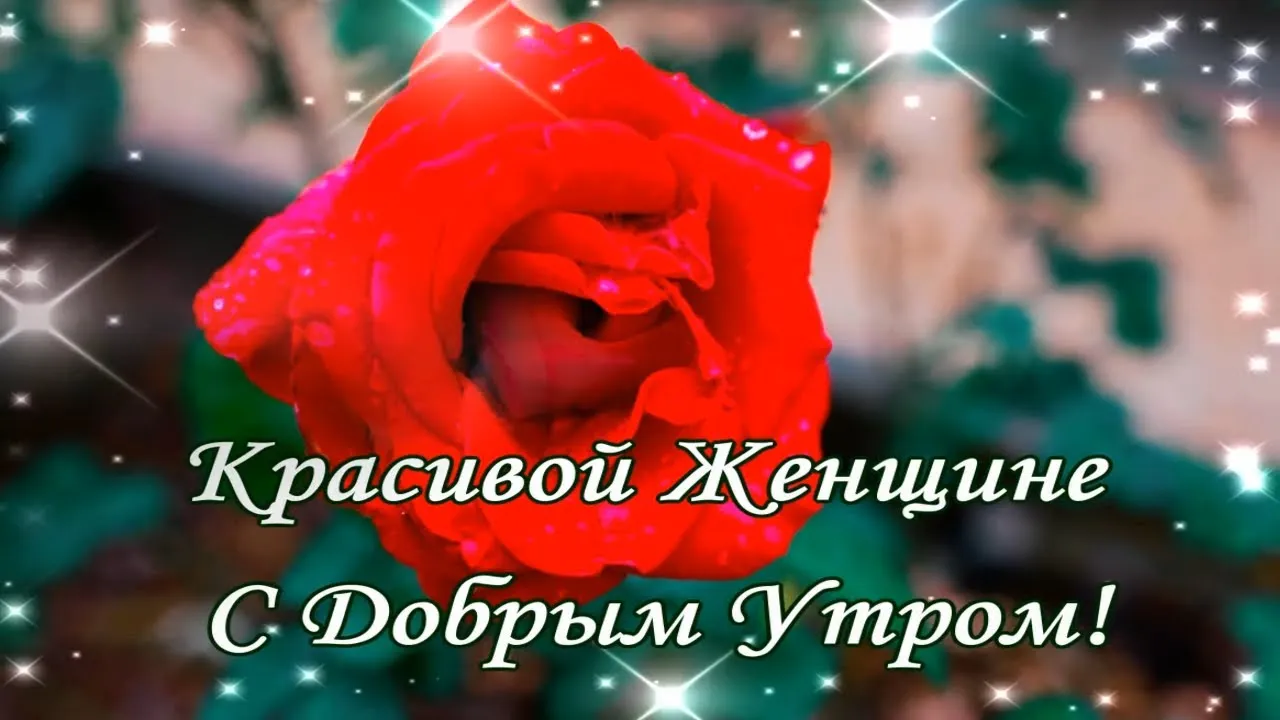 Открытки с добрым утром девушке Открытки с добрым утром девушке