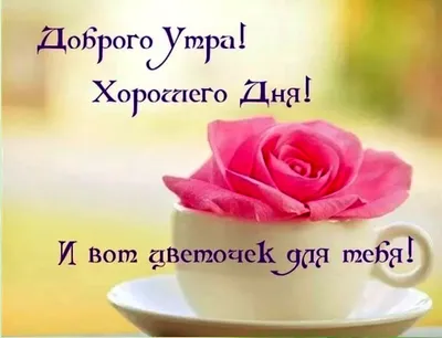 Картинки \"С Добрым Утром!\" девушке (100+)