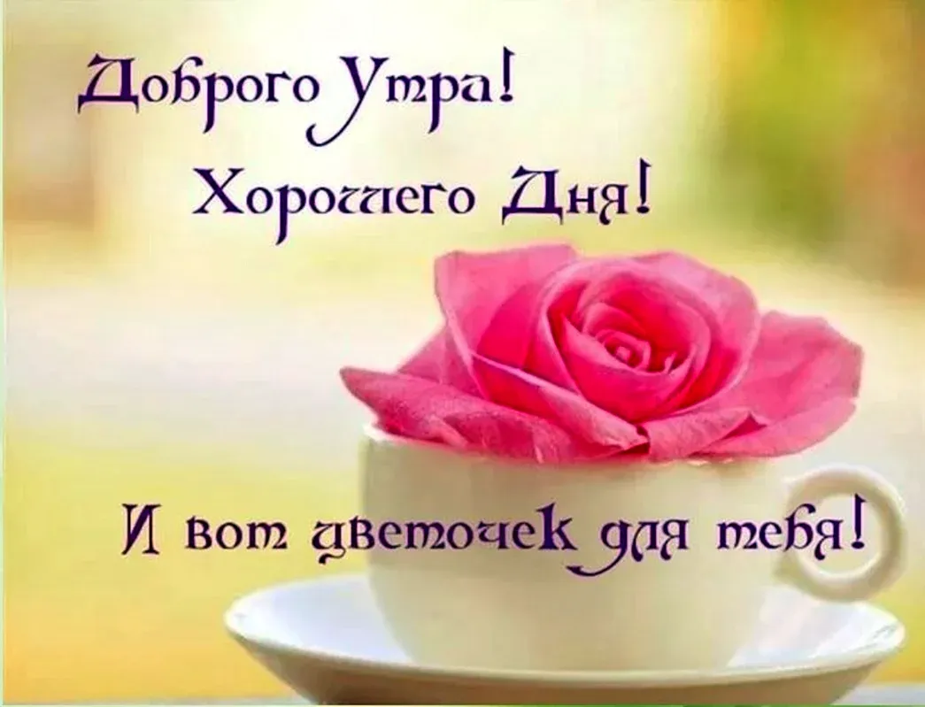 Картинки \"С Добрым Утром!\" девушке (100+) Картинки \"С Добрым Утром!\" девушке (100+)