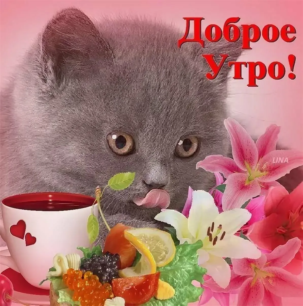 стихи доброе утро подруге, стихи с добрым утром подруге, смс подруге с добрым утром, пожелания с добрым утром подруге, стишки подруге с добрым утром стихи доброе утро подруге, стихи с добрым утром подруге, смс подруге с добрым утром, пожелания с добрым утром подруге, стишки подруге с добрым утром