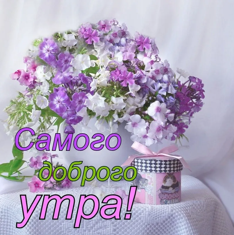 Открытки с добрым утром - скачайте на Davno.ru Открытки с добрым утром - скачайте на Davno.ru