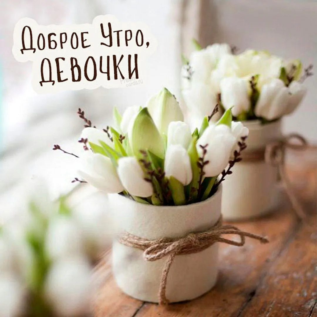 Картинки \"С Добрым Утром!\" девушке (100+) Картинки \"С Добрым Утром!\" девушке (100+)