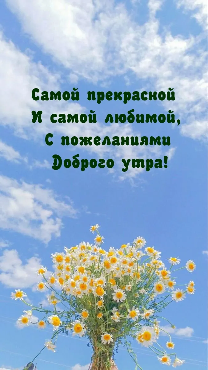 Доброе Утро Девушке Очень приятно …» — создано в Шедевруме Доброе Утро Девушке Очень приятно …» — создано в Шедевруме
