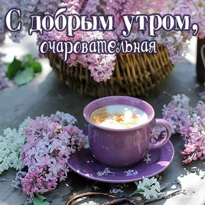 Доброе утро | Пикабу