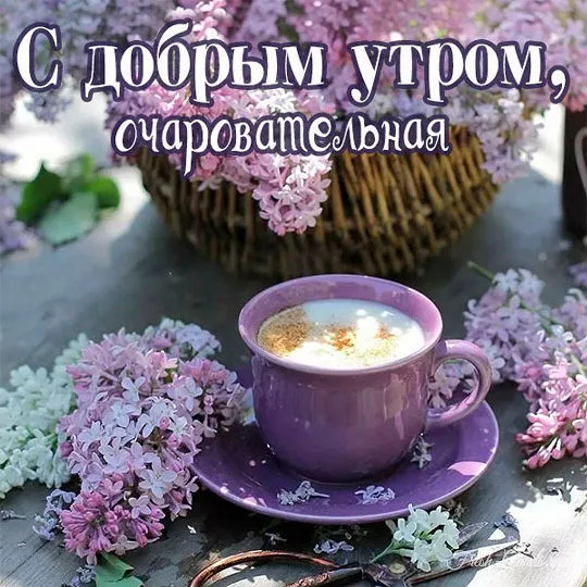Доброе утро | Пикабу Доброе утро | Пикабу