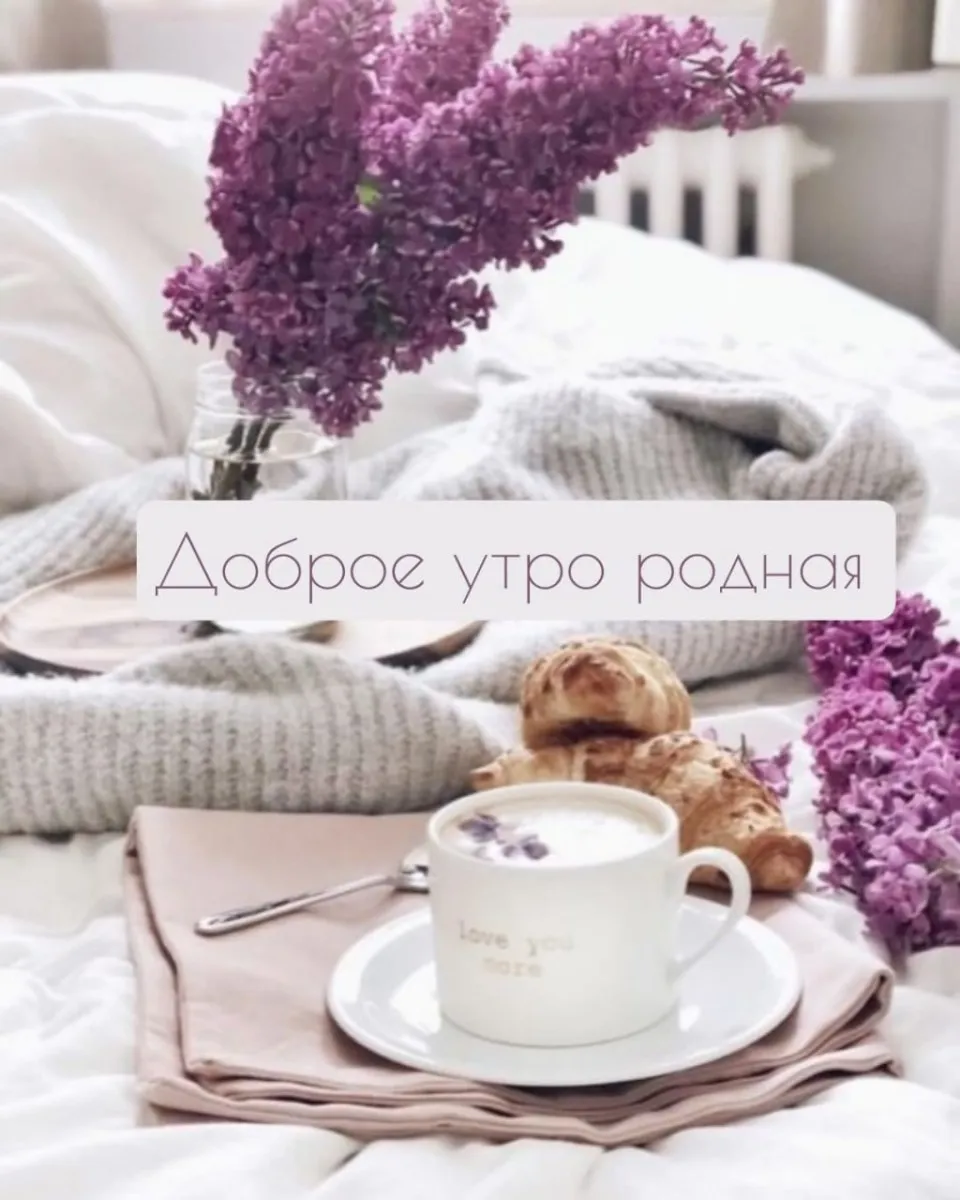 Красивые пожелания доброго утра девушке своими словами | ohana | Дзен Красивые пожелания доброго утра девушке своими словами | ohana | Дзен