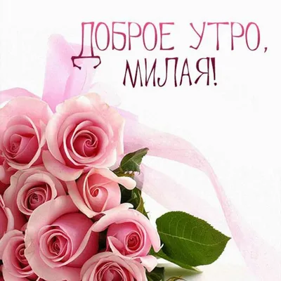 Доброе утро любимой девушке гиф скачать бесплатно, страница 3