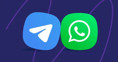 My WhatsApp changed to green?? : r/whatsapp