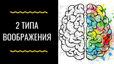 Как воображение влияет на человека, в построении карьеры, достижения  поставленных целей и на здоровье. | Психология | Дзен