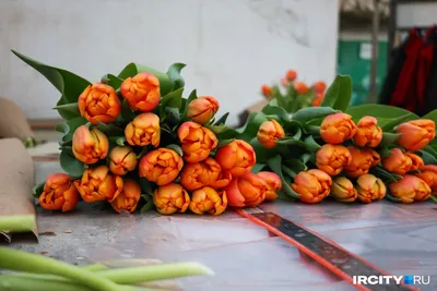 Накануне самого нежного праздника — 8 Марта — семейный художественный  мастер-класс: на холсте акрилом напишем картину «Мама и ребенок», где… |  Instagram