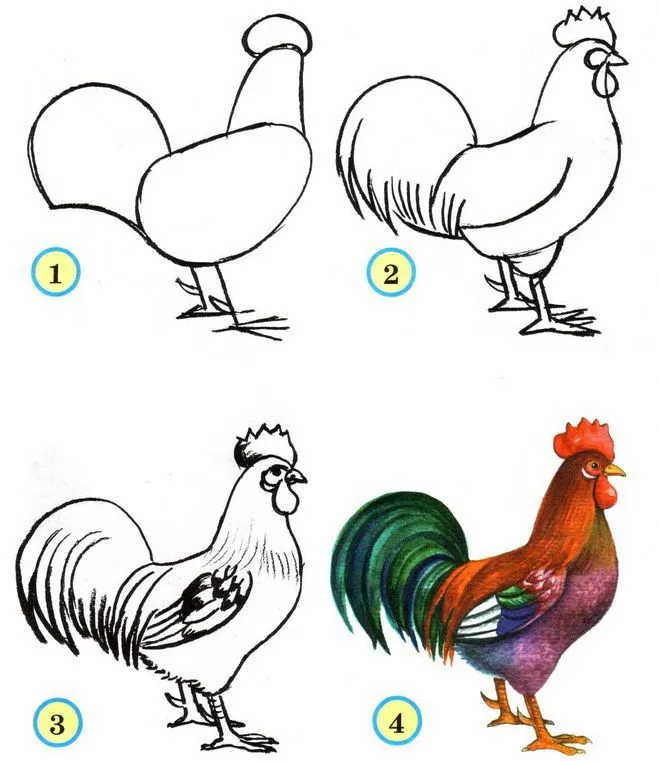 нарисовать петуха пошагово | Bird drawings, Rooster art, Rooster painting нарисовать петуха пошагово | Bird drawings, Rooster art, Rooster painting