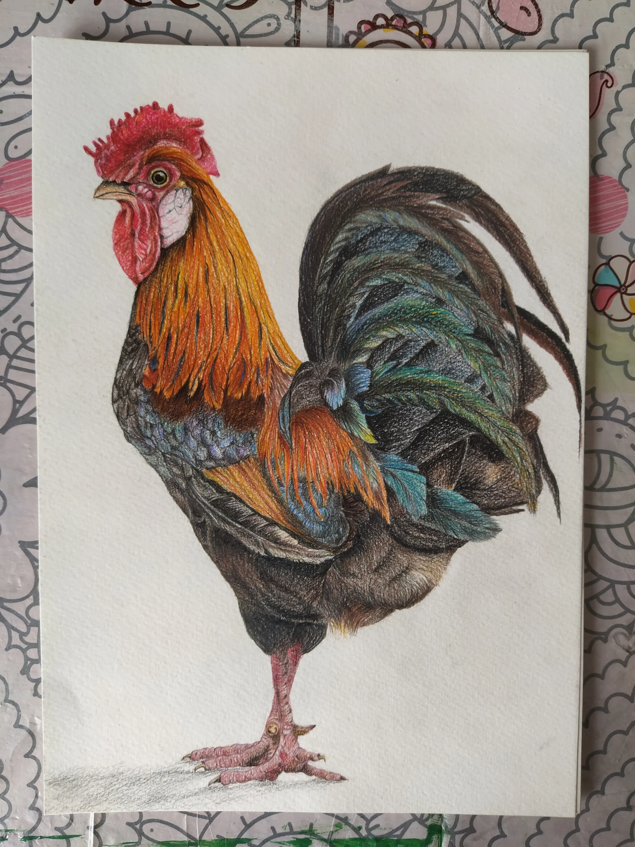 Рисунок ПЕТУХ / Как нарисовать ПЕТУХА / Урок рисования для начинающих / Learn to draw an rooster - YouTube Рисунок ПЕТУХ / Как нарисовать ПЕТУХА / Урок рисования для начинающих / Learn to draw an rooster - YouTube