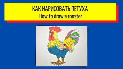 цвет цвет петух мультипликация PNG , материал, Мультфильм петух, петуха PNG  картинки и пнг рисунок для бесплатной загрузки
