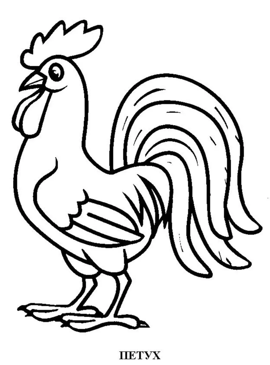 How to Draw a Rooster step by step - a Symbol of 2017 - YouTube How to Draw a Rooster step by step - a Symbol of 2017 - YouTube