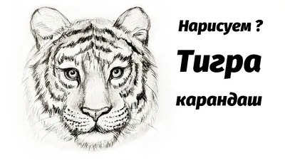 Рисунок карандашом №520082 - купить в Украине на Crafta.ua