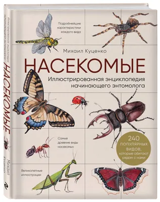 Коллекция засушенных насекомых: во владимирском Музее природы откроется  уникальная выставка