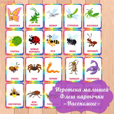 Мемо «Мир насекомых и не только» – Настольные игры – магазин 22Games.net