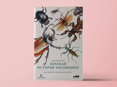 Насекомые. Иллюстрированная энциклопедия начинающего энтомолога. 240  популярных видов, которые обитают рядом с нами | Куценко Михаил Евгеньевич  - купить с доставкой по выгодным ценам в интернет-магазине OZON (253330579)