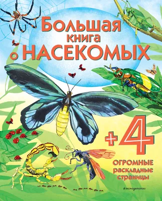 Учим с ребенком насекомых: разбираемся, зачем и как это сделать в игровой  форме | Игры для развития детей | Дзен