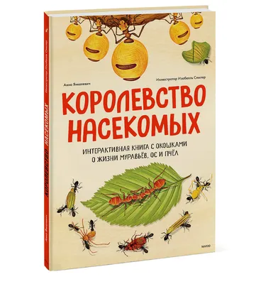 Ученые рассказали, как вымирание насекомых изменит планету - Газета.Ru |  Новости