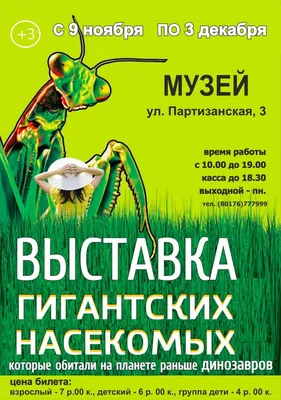 Насекомые. Детская энциклопедия школьника. Познавательная книга о природе  для детей от 7 лет - купить с доставкой по выгодным ценам в  интернет-магазине OZON (148803775)