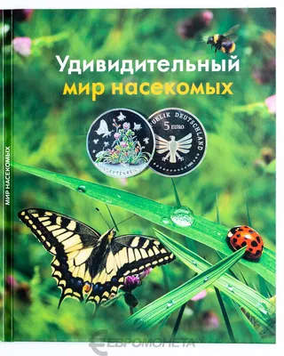 Нескучные игры: Мемо Мир насекомых и не только: заказать настольную игру по  низкой цене в интернет-магазине Meloman | Алматы, Астана, Казахстан