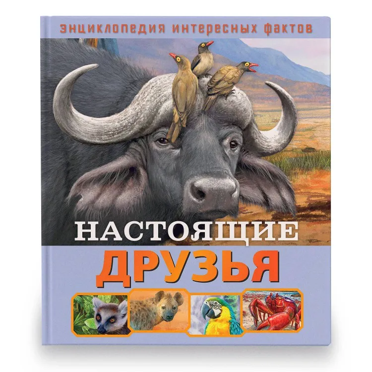 Пельмени \"Настоящие\" Пельмени \"Настоящие\"