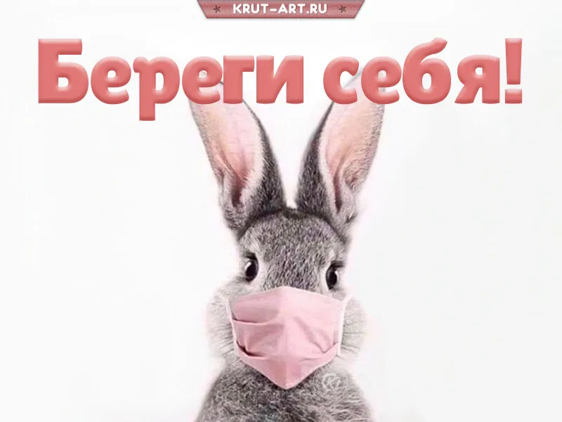 Открытка не болей | Открытки, Картинки, Милые котики Открытка не болей | Открытки, Картинки, Милые котики
