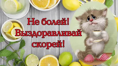 Выздоравливай! - скачайте на Davno.ru