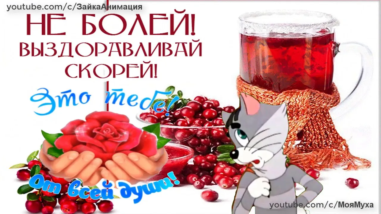 Выздоравливай скорее, не болей: картинки и открытки | Открытки, Милые открытки, Картинки Выздоравливай скорее, не болей: картинки и открытки | Открытки, Милые открытки, Картинки